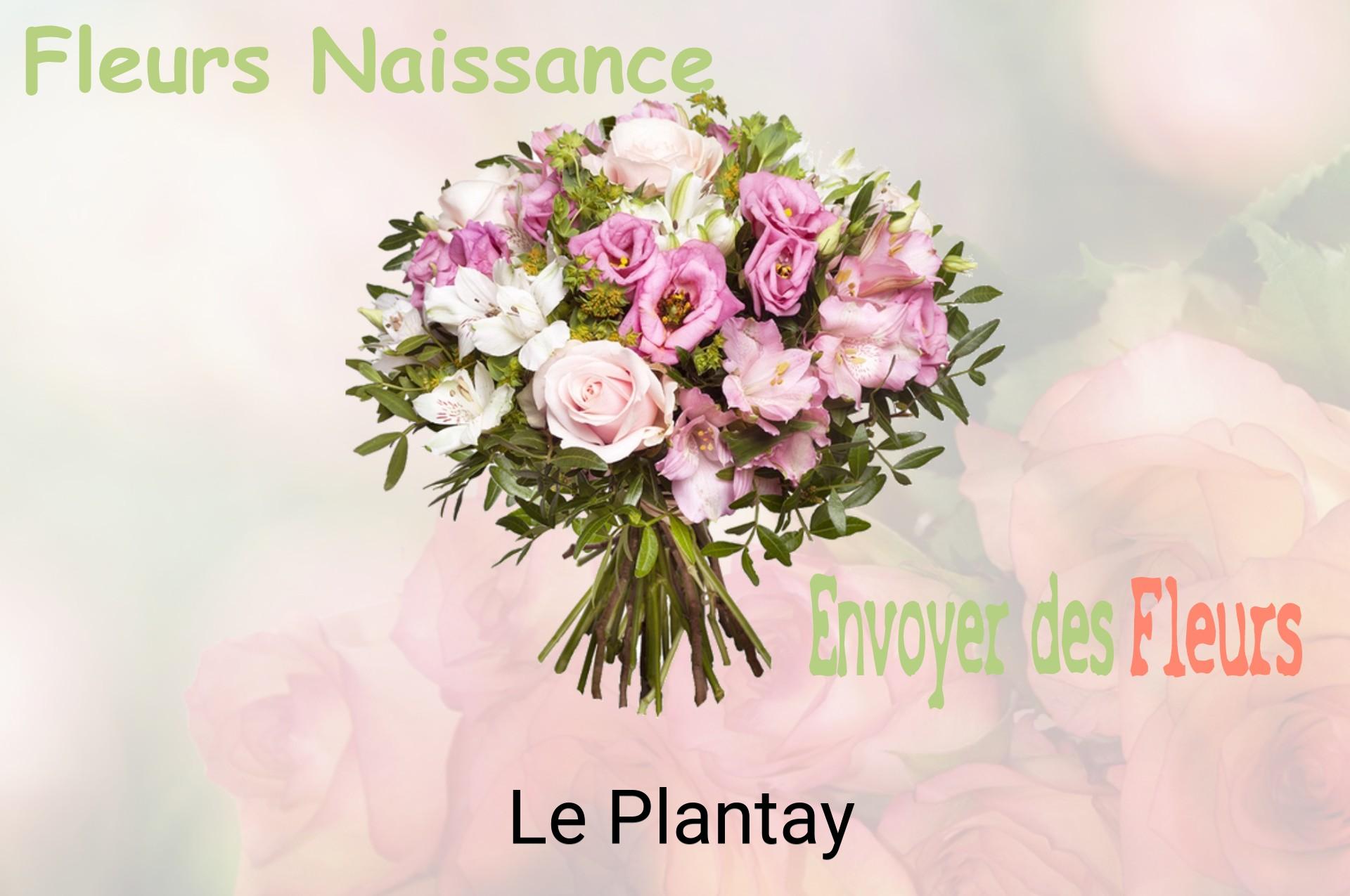Bouquet de fleurs de naissance livré à Le Plantay