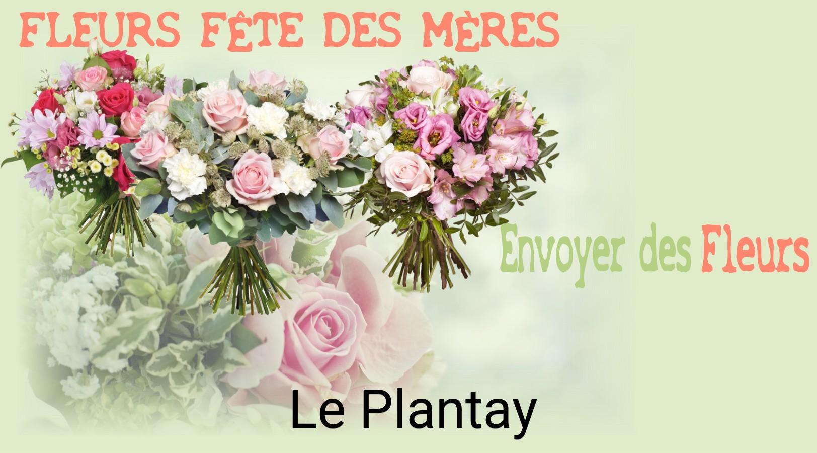 Bouquet de Fête des Mères livré à Le Plantay